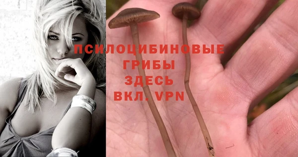 ALPHA PVP Бронницы